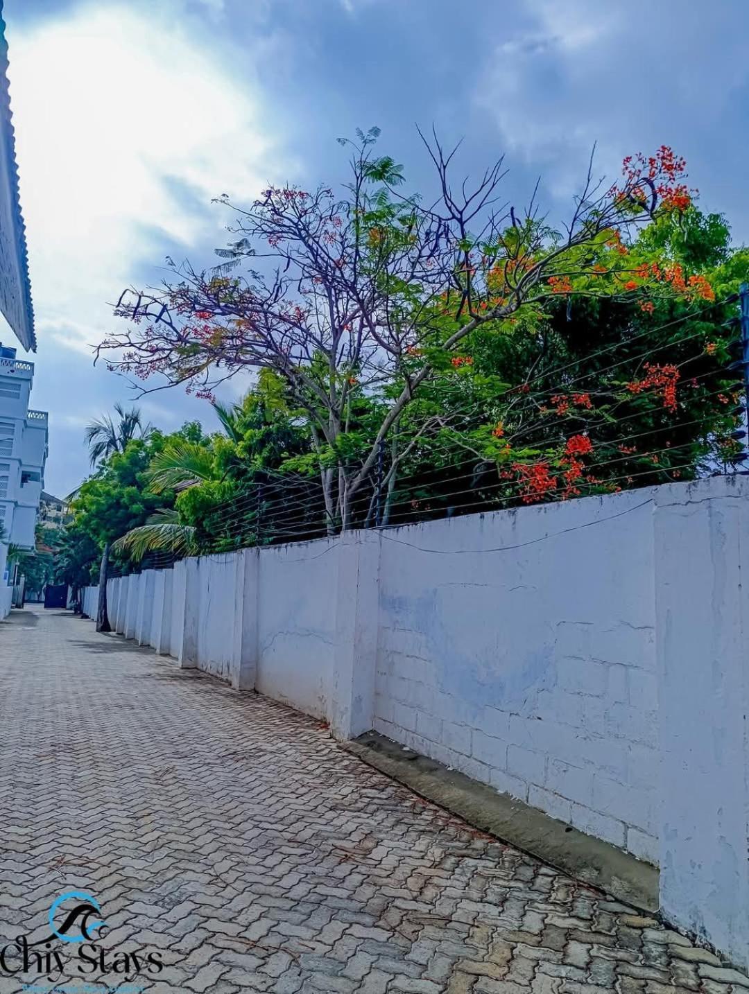 Chiy Stays Galu Exterior foto